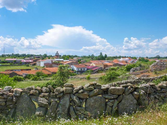 LA VIDOLA